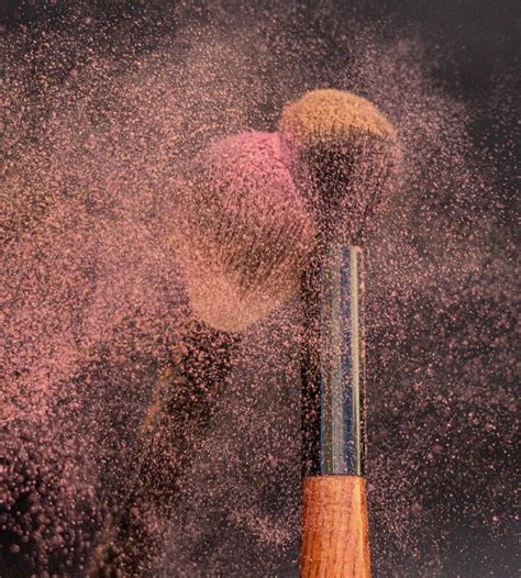 Entreprises vertes : ces fondations qui agissent pour la planète