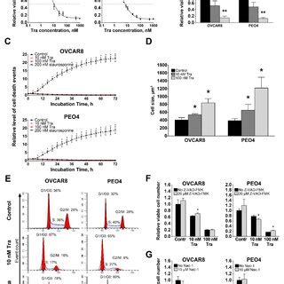 Effects Of Trametinib Treatment On Stemness Related Characteristics Of