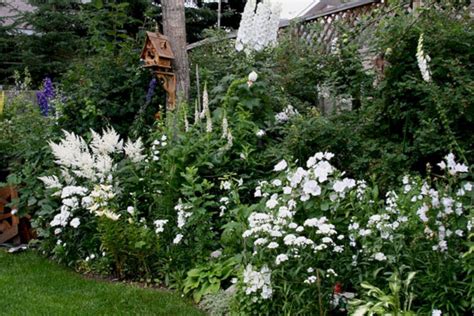 25+ Awesome White Garden Ideas With White Flower Collection in Your Garden — Freshouz Home ...