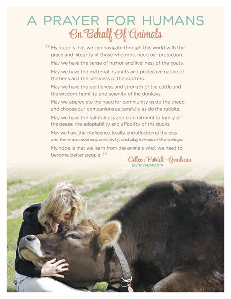 My Prayer For Humans On Behalf Of Animals Colleen Patrick Goudreau