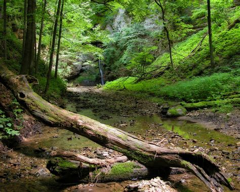 hiking green lake wi green lake area chamber  commerce