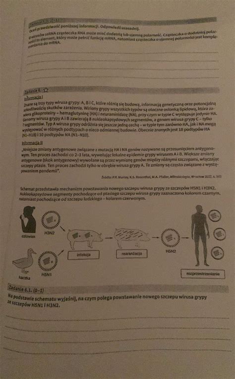 PROSZĘ O POMOC DAJE DUZO PUNKTOW NA SZYBKO Brainly pl