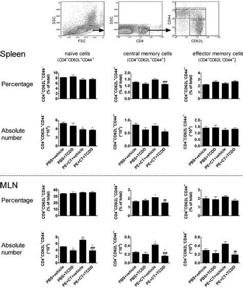 Effect Of Ahr Activation By Tcdd On Peripheral Na Ve Central Memory