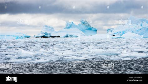 Pancake ice and icebergs, Antarctica Stock Photo - Alamy