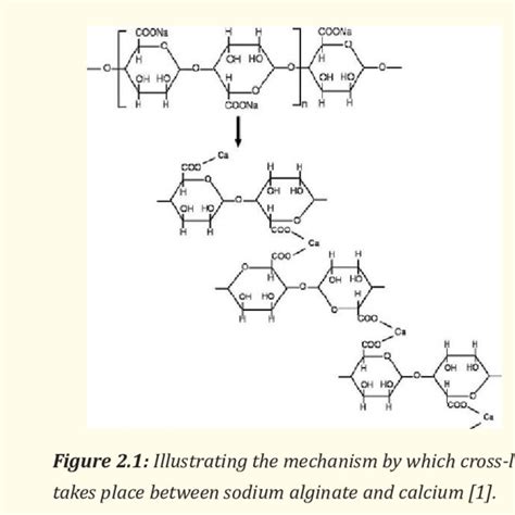 practical guide    methods  disinfection  alginate