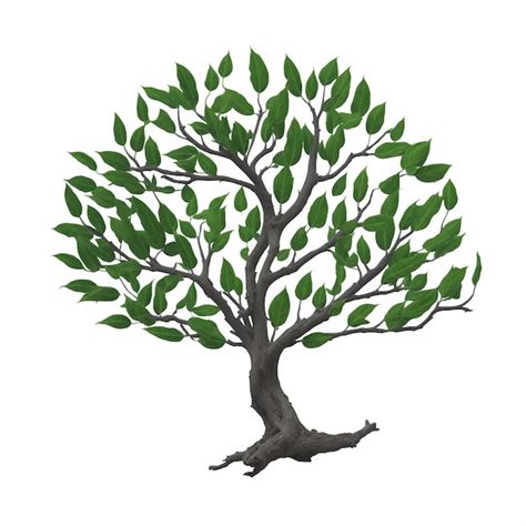 Un dibujo de un árbol con hojas verdes Vector Premium