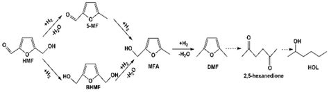 Reaction Pathways For Hmf Hydrogenation To Dmf And Other Products