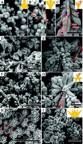 Hierarchical Cobalt Assemblies with Controlled Synthesis