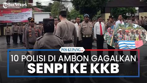 Gagalkan Penyelundupan Senpi Ke Kkb Papua Polisi Di Ambon Dapat