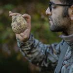 Tesori Del Matese Guida Turistica Del Molise