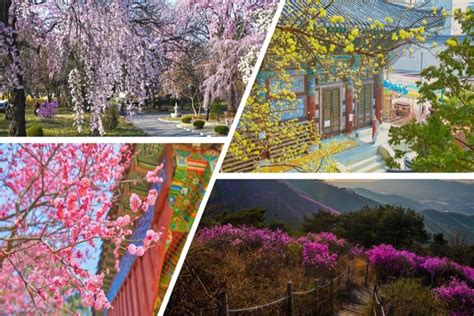 Lugares De Corea Del Sur Que Debes Visitar En Primavera K Magazine