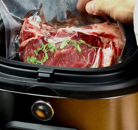 This Sous Vide Multicooker Lets You Sear Your Meat Too