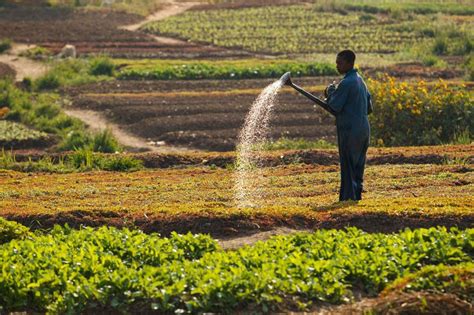 RDC les prévisions budgétaires du secteur de l Agriculture pour 2022