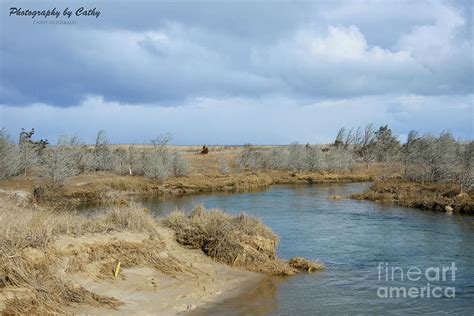 Paines Creek Photograph By Cathy Fitzgerald Fine Art America