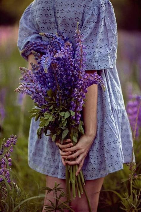 Lavender Cottage Lavender Blue Ballet Photography Love Flowers Lace