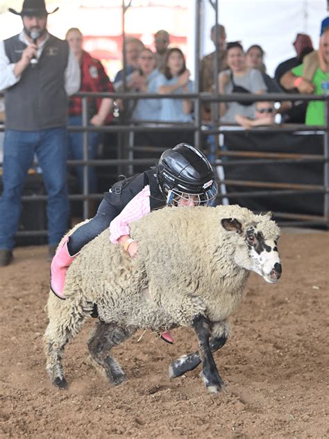 Mutton Bustin’ - Houston Livestock Show and Rodeo