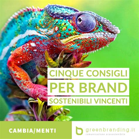 Cinque Consigli Per Brand Sostenibili Vincenti Green Branding