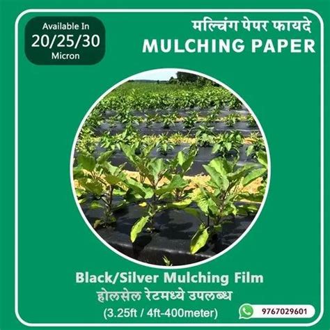 Raja Rubbers Plastic Mulching Film Micron Black Silver Meter