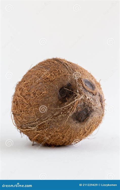 Tropical Fruit Whole Coconut Isolated On Whitetropical Fruit Whole