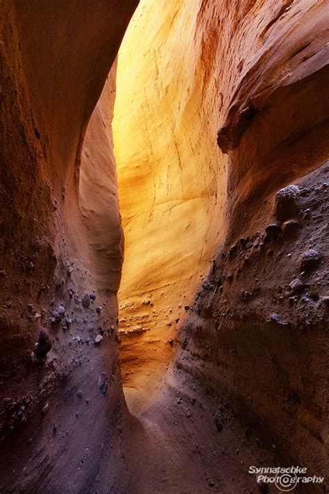 Slot canyon in the Anza-Borrego Desert | Anza Borrego | California ...