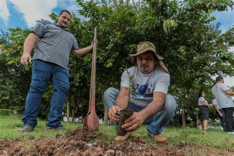 Prefeitura De Porto Velho E Parceiros Convidam Popula O Para Plantio