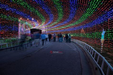 zilker park trail  caitlin grimmett blog