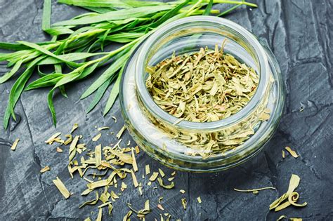 Tarragon The Nutritional Herb With Multiple Health Benefits Healthifyme