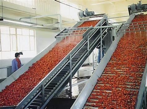 Aluminium Automatic Tomato Processing Plant Design Standard At Rs