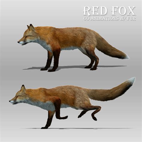 Red black fox fur 3D - TurboSquid 1233608