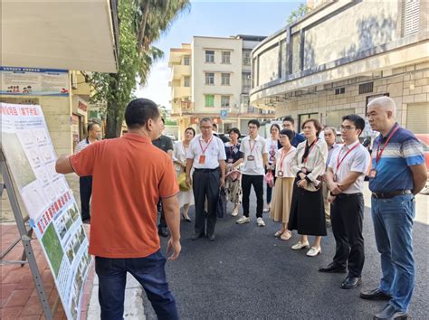 【奋战“百千万工程”】聚焦绿美建设，助力生态惠民！棠下镇人大开展“更好发挥人大代表作用”主题活动