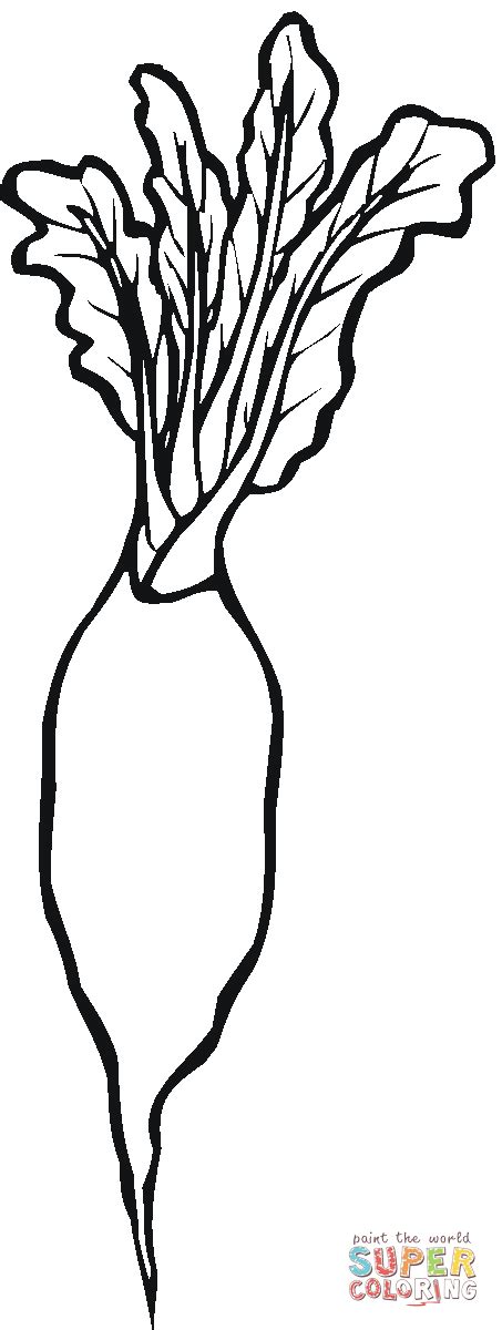 Printable Radish Coloring Page Vegetable Coloring Pages Coloring Porn