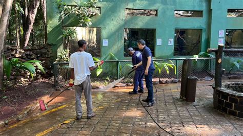 Visitantes do Bosque de Ribeirão reclamam da falta de zeladoria e da