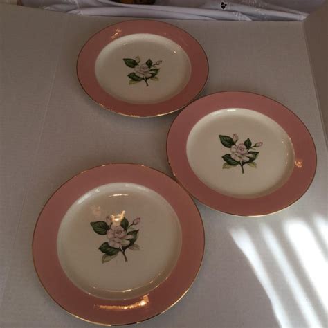 Mid Century Pink Dinner Plates Set Of 3 Chairish