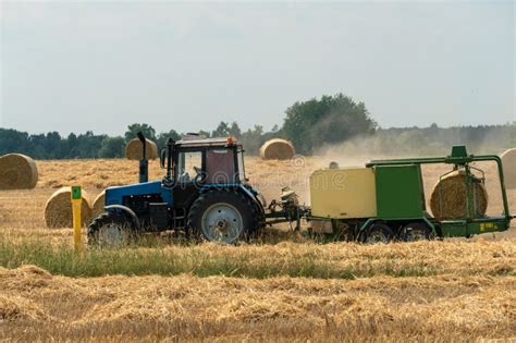 Tractor Collects Hay Bales In The Fields A Tractor With A Trailer