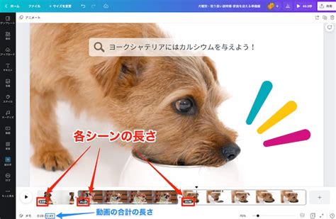 【canva】動画を編集する方法を徹底解説！誰でも簡単にできる！