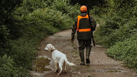 Chasse Toutes Les Mesures Du Plan Sécurité Du Gouvernement Merci