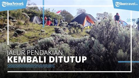 Jalur Pendakian Gunung Gede Pangrango Kembali Tutup Pendaki Yang Telah