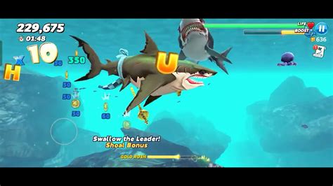 Megalodon Shark And Dark Magic Shark Gameplayhungry Shark Worldsorry