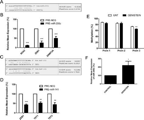 Mir 200c And Mir 141 Target Genes Involved In Cell Methylation A