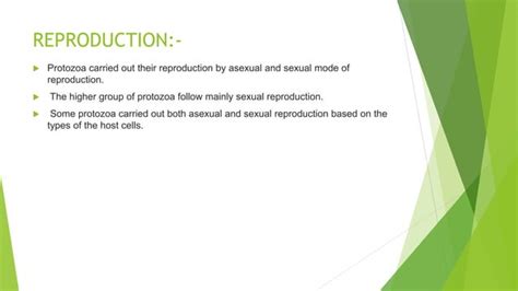 Protozoa Sexual Reproductionpptx