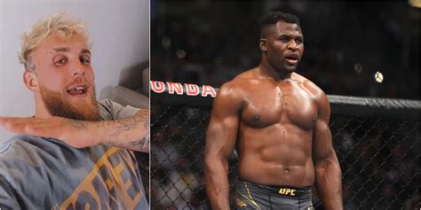 Jake Paul Recibe Así A Francis Ngannou En La Pfl Tras Darlo Por