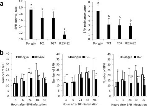 Antibiosis And Antixenosis Effect Of BPH18 A Antibiosis Effect Of