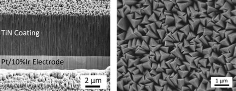 Titanium Nitride Tin Coatings Pulse Technologies