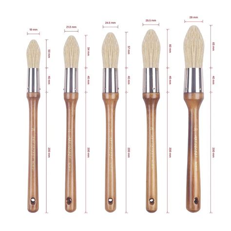 Shop Domed Round Hogs Bristle Brushes Australia Art Supplies Articci