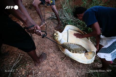 Agence France Presse On Twitter Los Pescadores Misquitos Viven De La