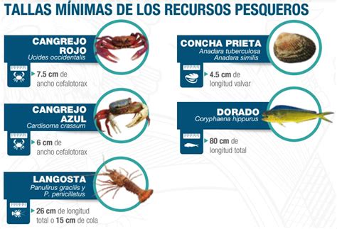 Actualizar 119 Imagen Que Es La Veda De Mariscos Abzlocal Mx