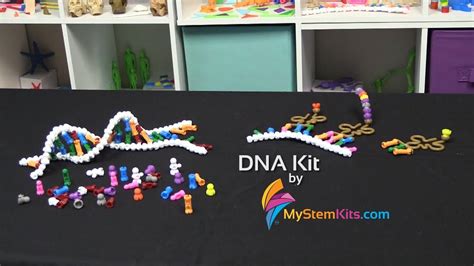 Dna Kit Youtube