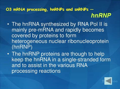 Ppt Section O Rna Processing And Rnps Powerpoint Presentation Free