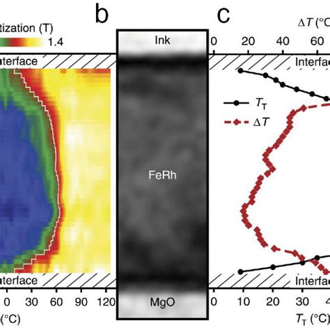 Evolution Of The Magnetization In The Growth Direction A Map Of The