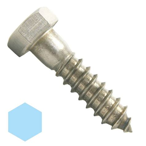 3 8 X 2 1 2 Stainless Steel Hex Lag Screw 18 8 K L Jack